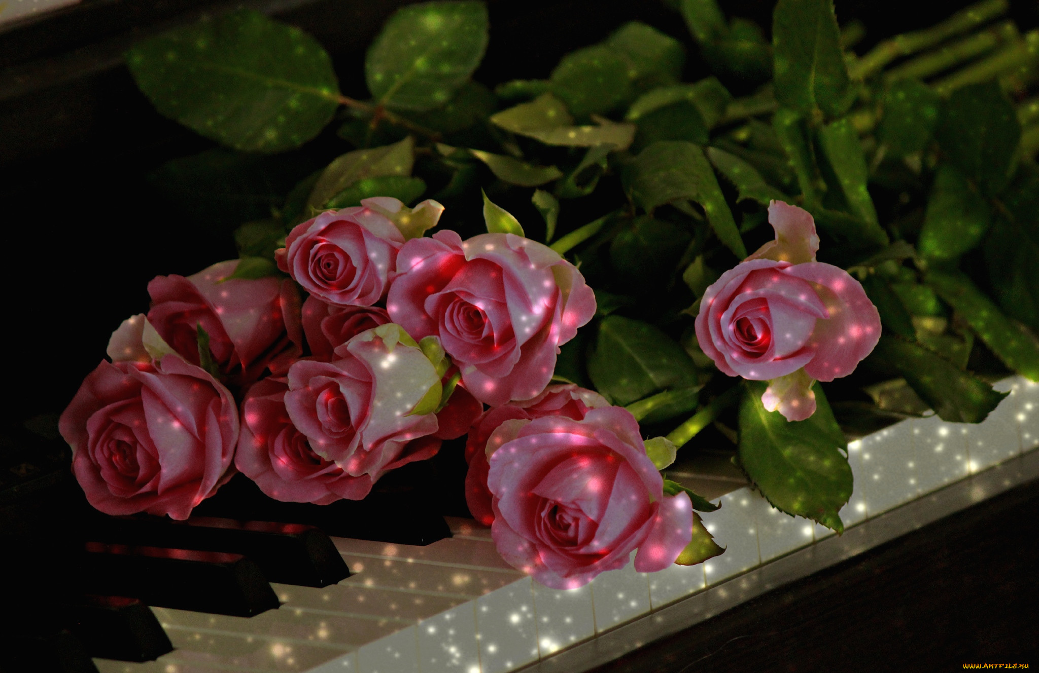 Видео красивеньких. Очень красивые цветы. Мерцающие цветы. Чудесные цветы. Роскошные розы.